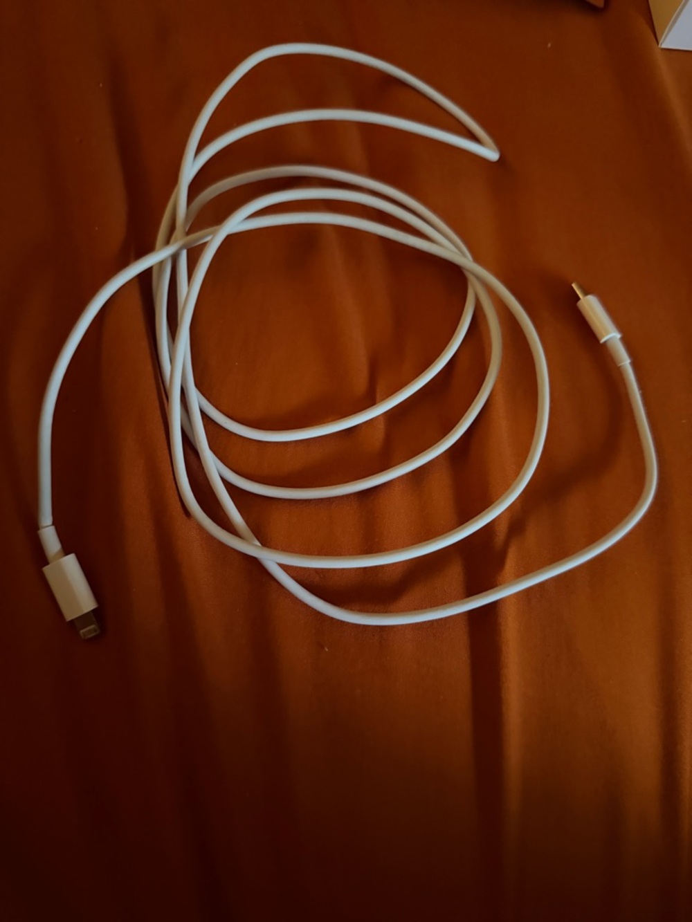 Apple White Lightning to USB-C Charging Cable